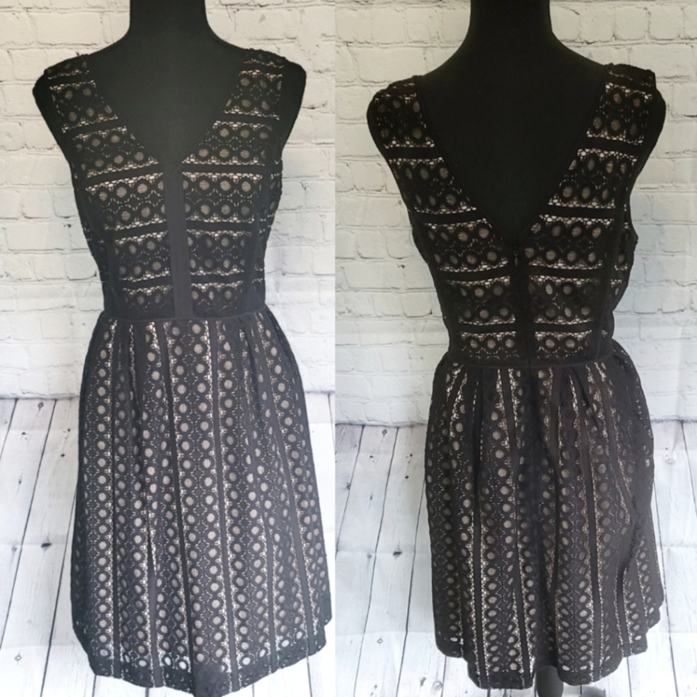 Pretty Loft Lace dress like new